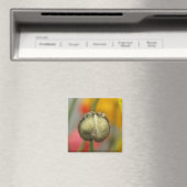 bubbelpapil magneet (Insitu (Vaatwasser))