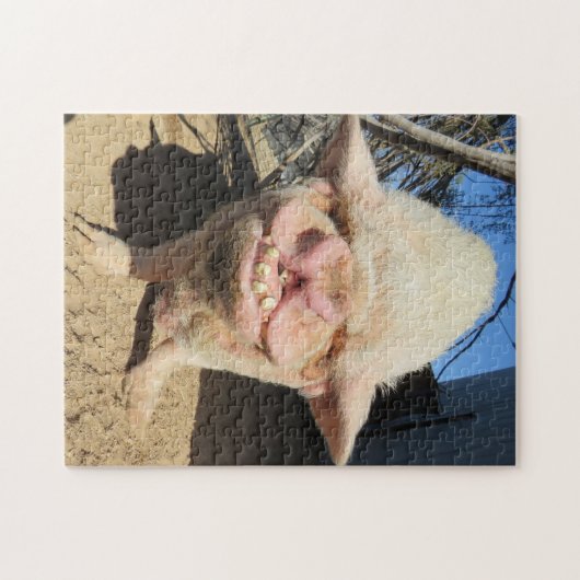 Bubbels Puzzel! Legpuzzel (Horizontaal)