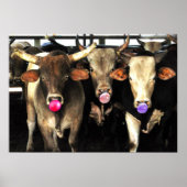 Bubble Gum Baling Rodeo Bull Koeien Westerne Kunst Poster (Voorkant)