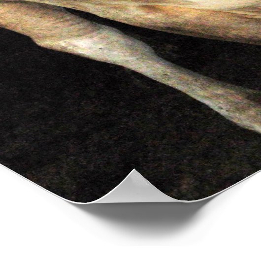 Bubble Gum Baling Rodeo Bull Koeien Westerne Kunst Poster (Hoek)