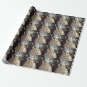 Bubble gum diva Luisa de Parma Gefeliciteerd Cadeaupapier (Uitgerold)