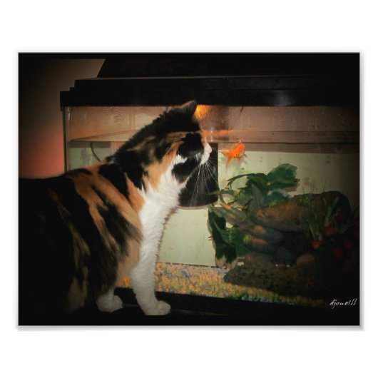 Bubble Kiss Foto Afdruk (Voorkant)