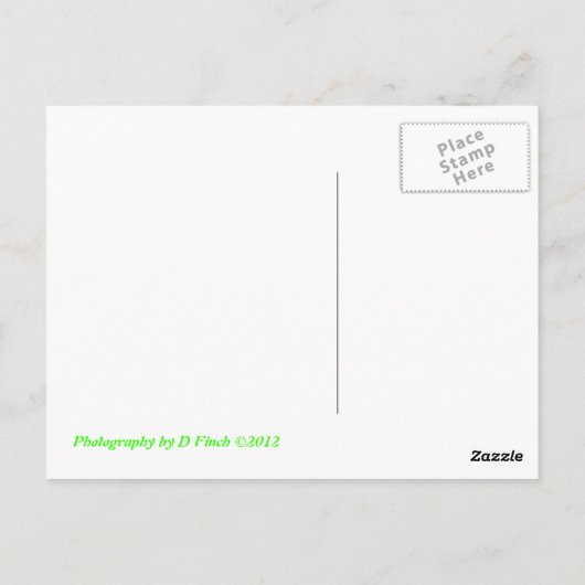 Bubbles Briefkaart (Achterkant)