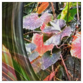 Bubbles in de Herfst..... Stof (Swatch)
