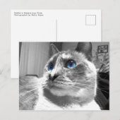 Bubble's Mesmerizing Blues Briefkaart (Voorkant / Achterkant)