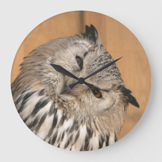 Bubo bubo sibiricus grote klok (Voorkant)