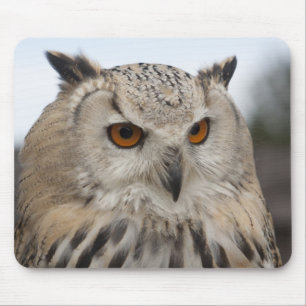 Bubo bubo sibiricus muismat