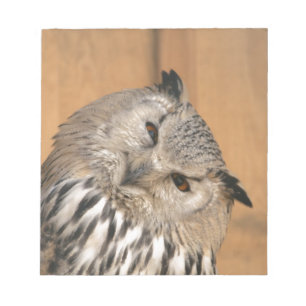 Bubo bubo sibiricus notitieblok