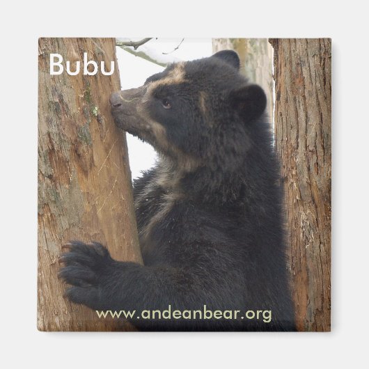 Bubu beer magneet (Voorkant)