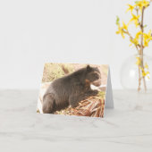 Bubu Carte pour notes PB4 (Fleur jaune)