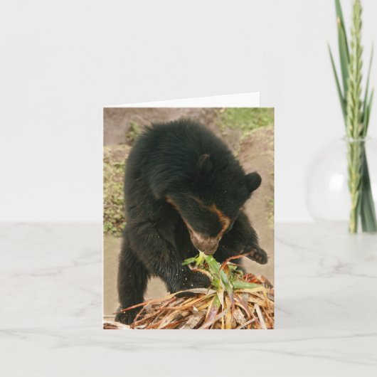 Bubu Notecard PB1 Kaart (Voorkant)