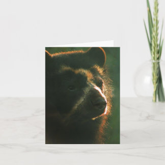 Bubu Notecard PB2 Kaart