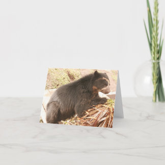 Bubu Notecard PB4 Kaart