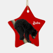Bubu Star Keramisch Ornament (Rechts)