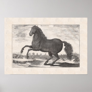 Bucephalus, Alexander the Great's favoriete paard Poster