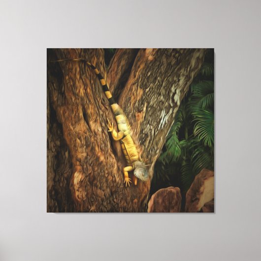 Bucerias Iguana 1069 Art Canvas Afdruk (Voorkant)