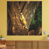 Bucerias Iguana 1069 Art Canvas Afdruk (Insitu (Woonkamer))