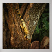 Bucerias Iguana 1069 Art Print (Voorkant)