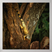 Bucerias Iguana 1069 Kunstprint Poster (Voorkant)