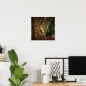 Bucerias Iguana 1069 Kunstprint Poster (Thuiskantoor)