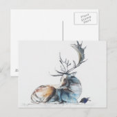 Buck & Bird 2006 Briefkaart (Voorkant / Achterkant)