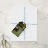 Buck cerf étiquettes cadeaux (Avec de laficelle)