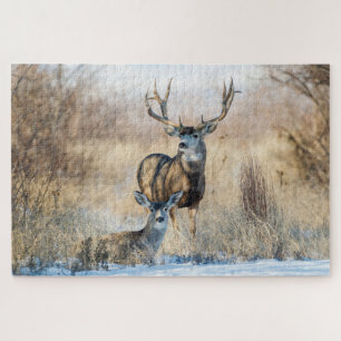 Buck Couple Mule Deer Legpuzzel