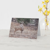 Buck Deer Hunter Deer Love Love Carte d'anniversai (Fleur jaune)