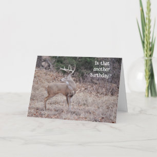 Buck Deer Hunter Deer Lover Fun Birthday Kaart