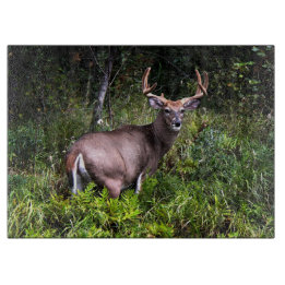 Buck Deer Large Cutting Board Snijplank