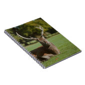 Buck deer notitieboek (Rechterzijde)