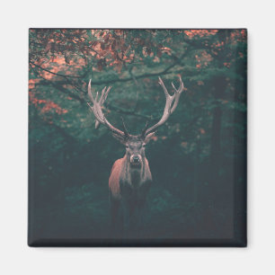 Buck Deer Wild Animal Magneet