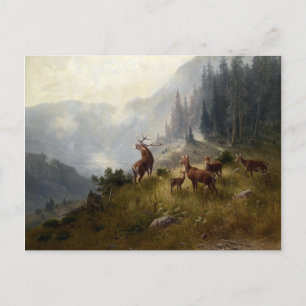 Buck & Doe Deer Herd in Forest Landscape Art Briefkaart