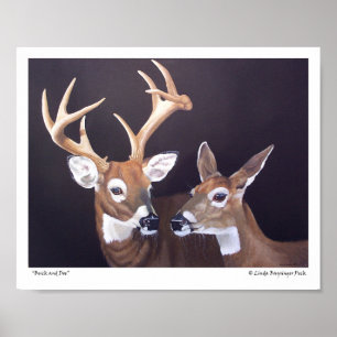 Buck en Doe Deer Poster