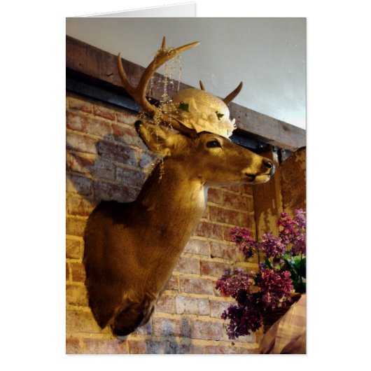 Buck in A Pet (Voorkant)