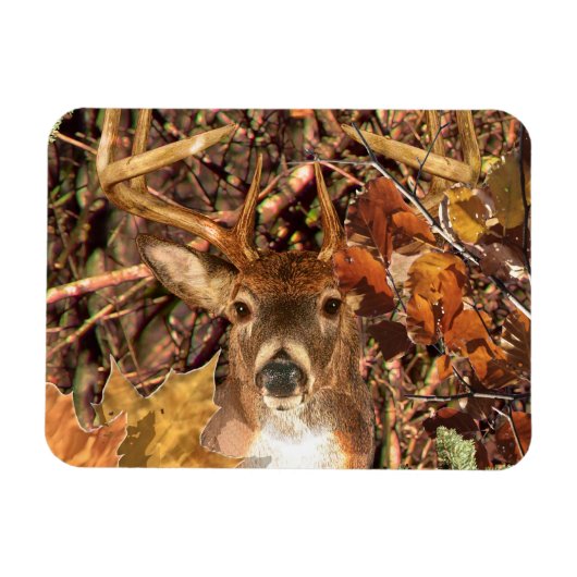 Buck in Camo White Tail Deer Magneet (Horizontaal)