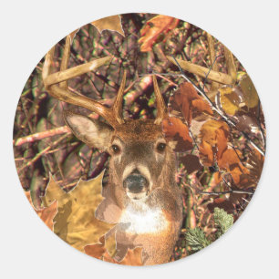 Buck in Camo White Tail Deer Ronde Sticker