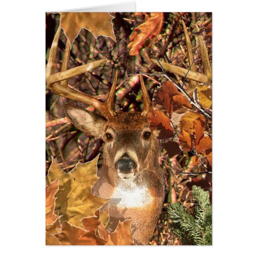 Buck in Camouflage White Tail Deer (Devant)