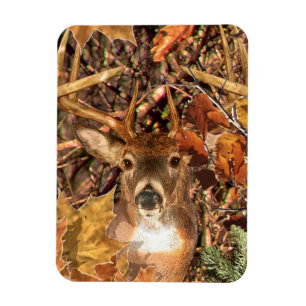 Buck in Herfst Camo White Tail Deer Magneet