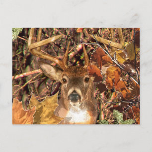 Buck in Hunter Camo White Tail Deer Briefkaart
