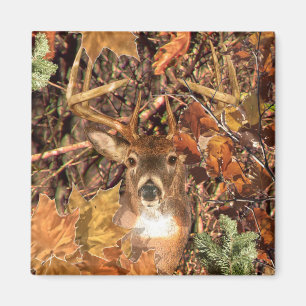 Buck in Hunter Camo White Tail Deer Magneet