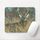 Buck in the Grass Muismat (Met muis)