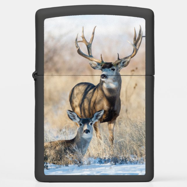 Buck Koppel | Muildier (Voorkant)