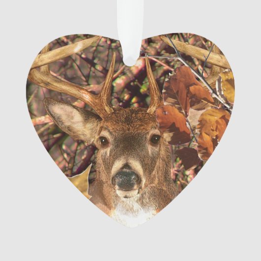 Buck la saison d'automne White Tail Deer (devant)