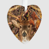 Buck la saison d'automne White Tail Deer (devant)