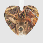 Buck la saison d'automne White Tail Deer (dos)