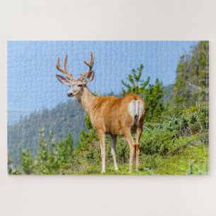 Buck Legpuzzel