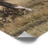 Buck onder de oaks poster (Hoek)