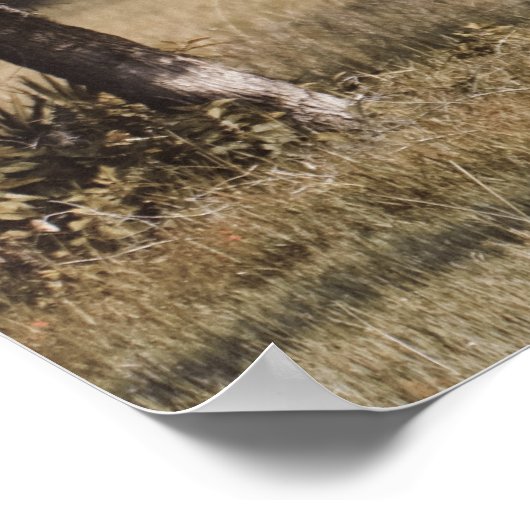 Buck onder de oaks poster (Hoek)