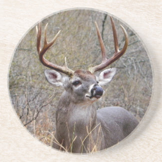 Buck Onderzetter
